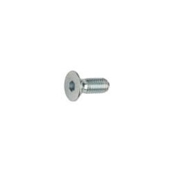 M6-1 x 12 FLAT SOCKET CAP SCREW DIN