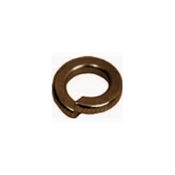 3/4 LOCKWASHER PLN