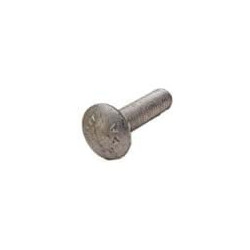 1/2-13 x 12 CARRIAGE BOLT GALV