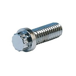 10 PC BAG CHROME 5/16-18 X 2 12 PT