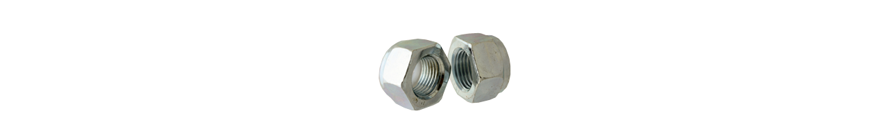 Nylon Insert Lock Nuts