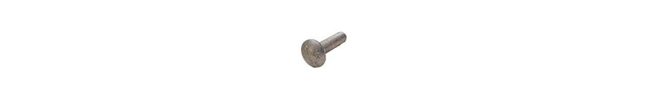 Carriage Bolts Galvanized