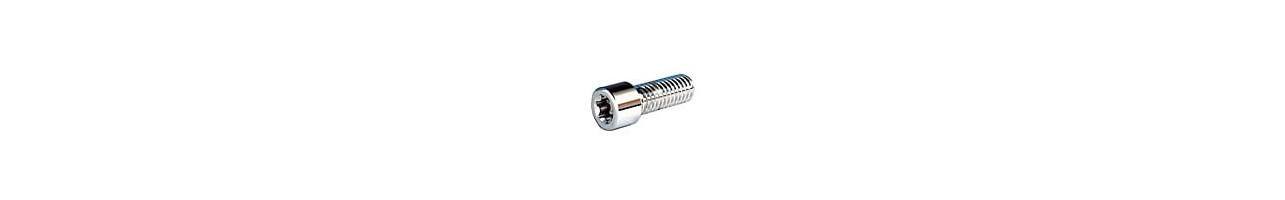 Chrome Torx Head Smooth