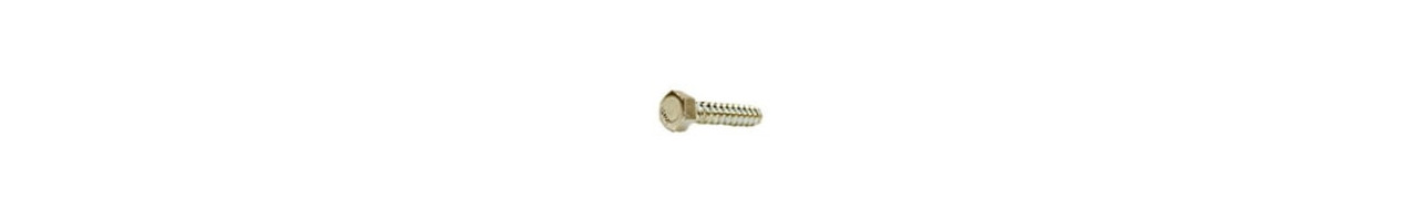 Hex Lag Screws