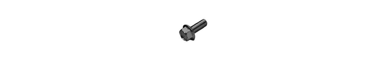 Serrated Flange Bolts
